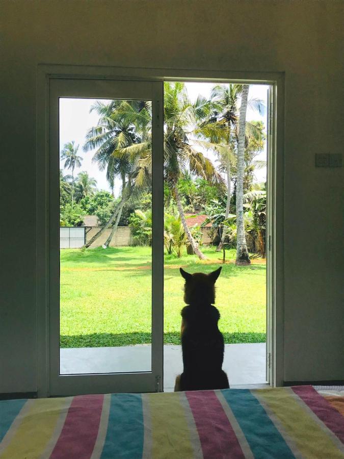 Maike Cabana Boossa Bagian luar foto